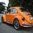 beetle_orange